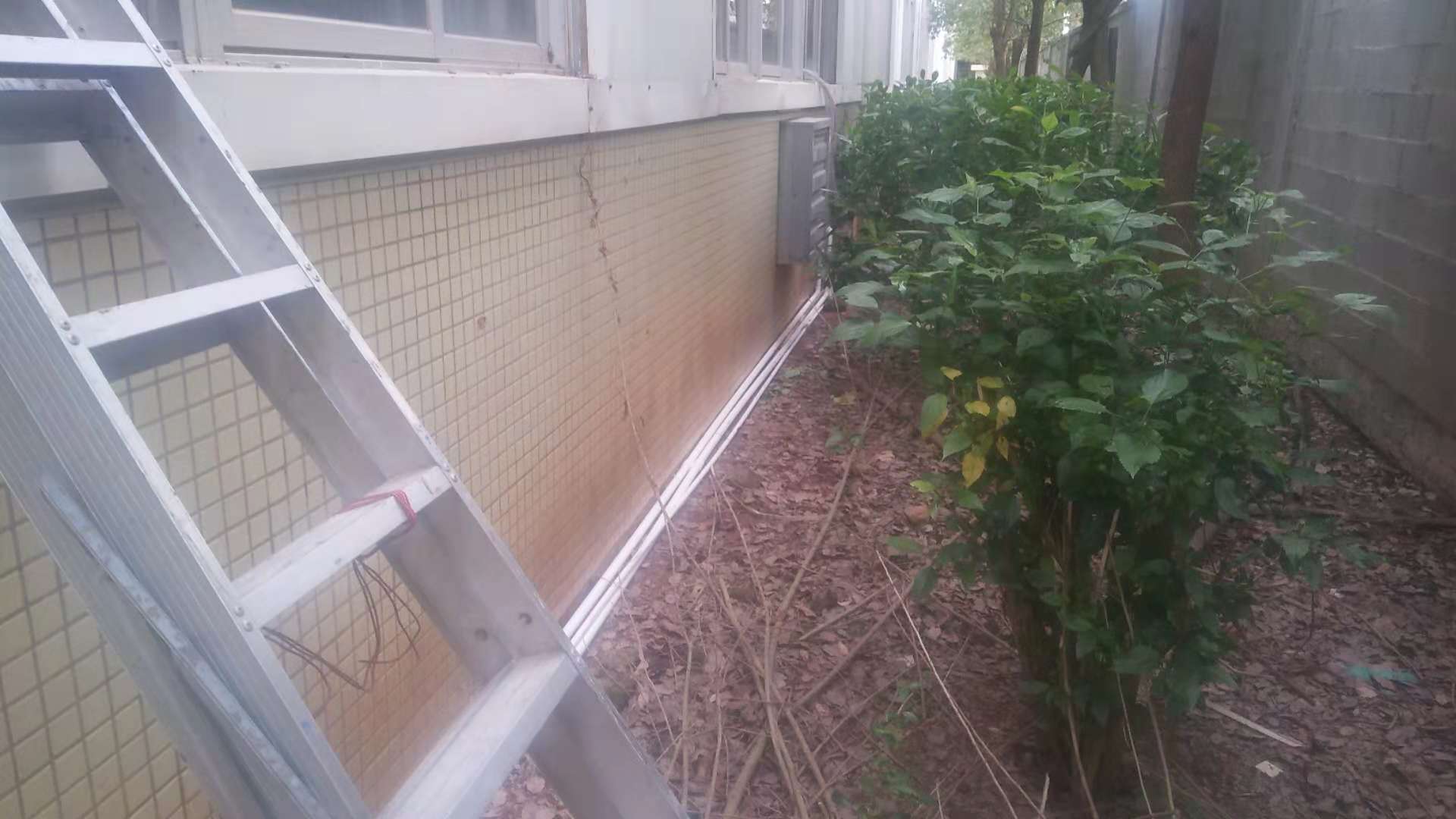 1544217088790110.jpg 1544217088790110.jpg